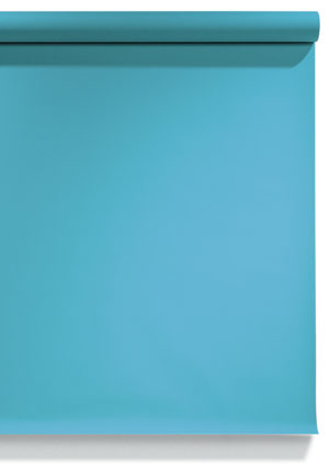 wedgewood seamless paper